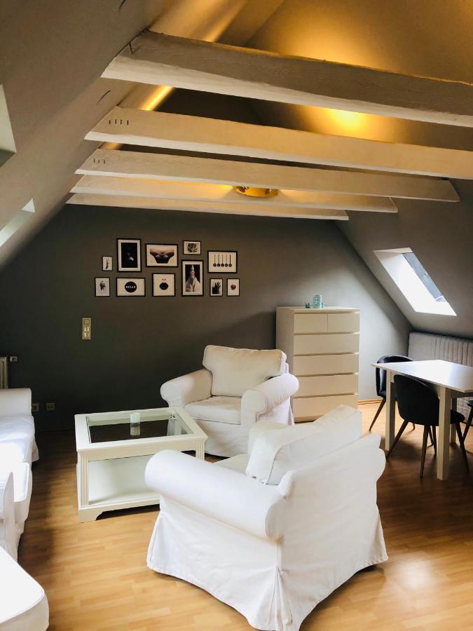 Riverview Loft In Central هيرتسوجيناوراخ المظهر الخارجي الصورة